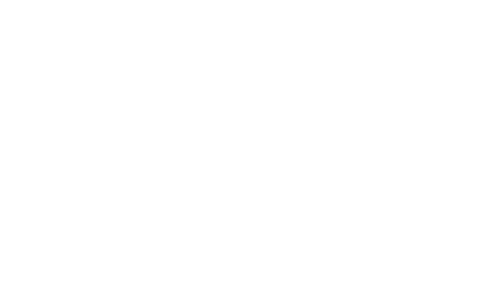 CARMIM